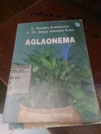Image of Aglaonema